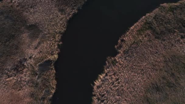 Природа Кінематографічна Сцена Вигнутими Річками Тростини Зверху — стокове відео
