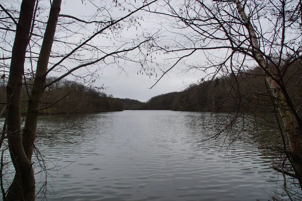 Lac Autour Une Forêt Rien Horizon Est Une Atmosphère Calme — Photo