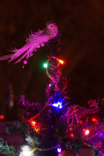 Lichte Bloemenslingers Kerstboom Buiten Nachts — Stockfoto