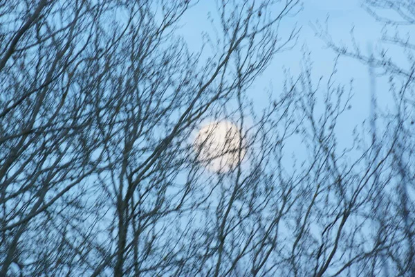 Luna Llena Rosa Supermoon Abril 2020 Francia Ocurre Cuando Luna — Foto de Stock