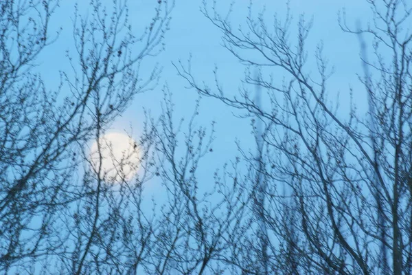 Supermoon Rosa Lua Cheia Abril 2020 France Ocorre Quando Lua — Fotografia de Stock