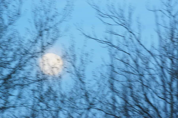 Supermoon Rosa Lua Cheia Abril 2020 France Ocorre Quando Lua — Fotografia de Stock