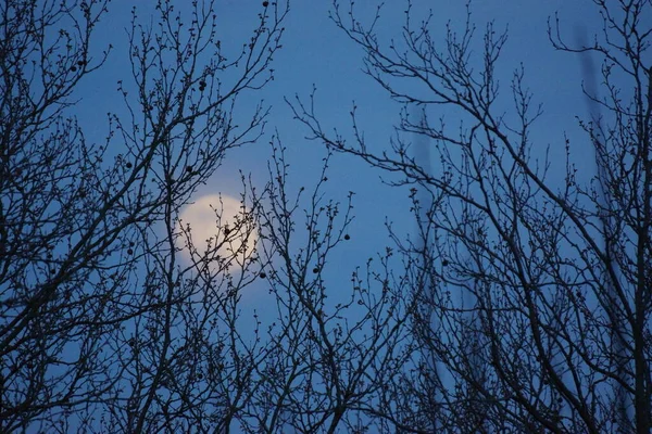 보름달 2020 프랑스 상에서 보름달 지구에서 가까운 지점에 때일어난다 보름달 — 스톡 사진
