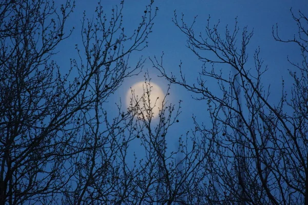 Supermoon Rosa Lua Cheia Abril 2020 France Ocorre Quando Lua — Fotografia de Stock