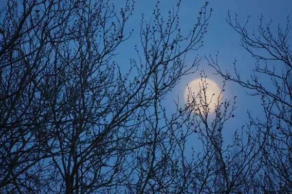 Supermoon Rosa Lua Cheia Abril 2020 France Ocorre Quando Lua — Fotografia de Stock