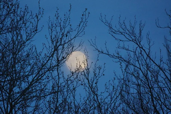 Supermaan Roze Volle Maan April 2020 Frankrijk Het Gebeurt Wanneer — Stockfoto