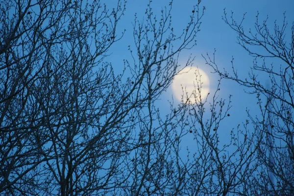 Supermoon Rosa Lua Cheia Abril 2020 France Ocorre Quando Lua — Fotografia de Stock