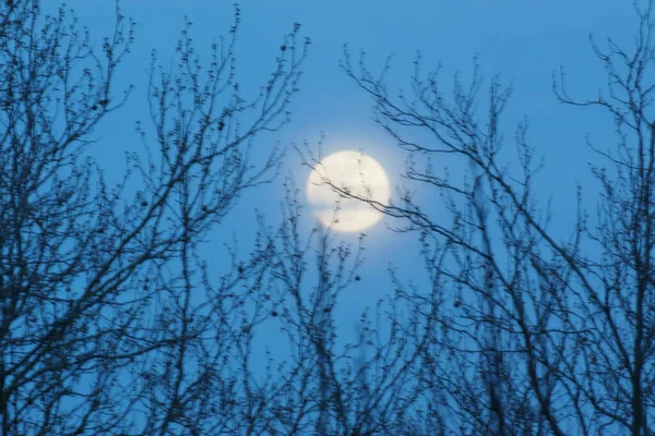 Supermoon Pink Full Moon April 2020 France Occurs Full Moon — Stock Photo, Image