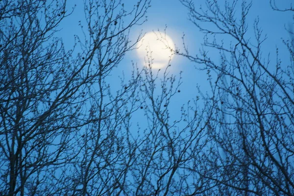 Supermaan Roze Volle Maan April 2020 Frankrijk Het Gebeurt Wanneer — Stockfoto