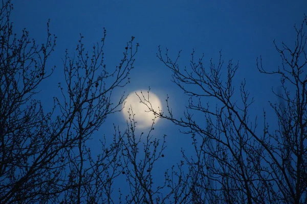 Supermoon Rosa Lua Cheia Abril 2020 France Ocorre Quando Lua — Fotografia de Stock