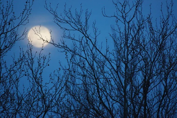 Supermoon Rosa Lua Cheia Abril 2020 France Ocorre Quando Lua — Fotografia de Stock