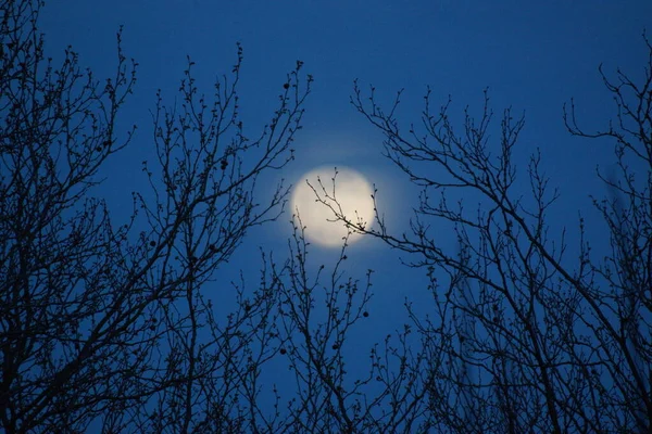 Supermaan Roze Volle Maan April 2020 Frankrijk Het Gebeurt Wanneer — Stockfoto