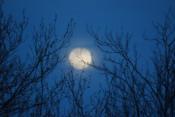 Luna Llena Rosa Supermoon Abril 2020 Francia Ocurre Cuando Luna —  Fotos de Stock