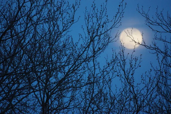 Supermaan Roze Volle Maan April 2020 Frankrijk Het Gebeurt Wanneer — Stockfoto