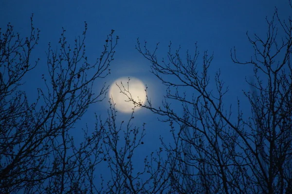 Supermaan Roze Volle Maan April 2020 Frankrijk Het Gebeurt Wanneer — Stockfoto