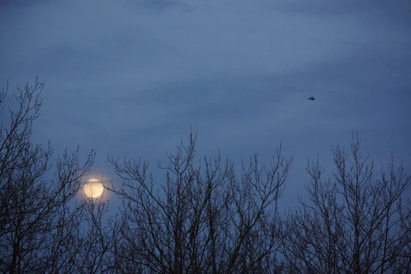 Supermåne Rosa Fullmåne April 2020 Frankrike Det Inträffar När Fullmånen — Stockfoto