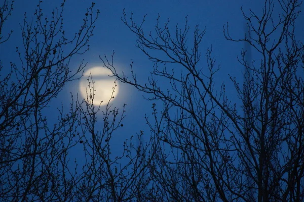 Supermond Rosa Vollmond April 2020 Frankreich Tritt Ein Wenn Der — Stockfoto