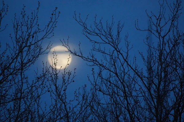 Supermåne Rosa Fullmåne April 2020 Frankrike Det Inträffar När Fullmånen — Stockfoto