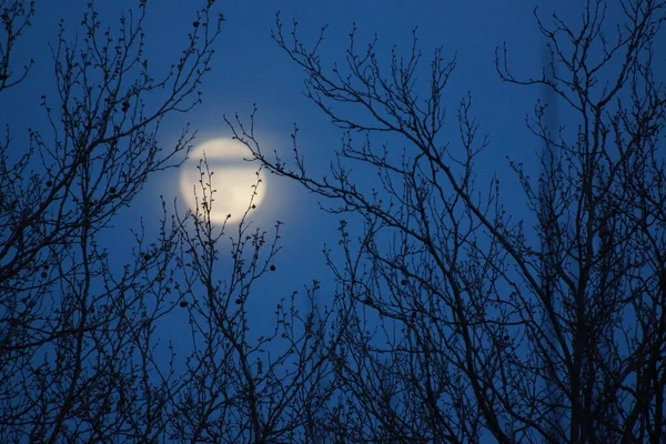 Luna Llena Rosa Supermoon Abril 2020 Francia Ocurre Cuando Luna —  Fotos de Stock