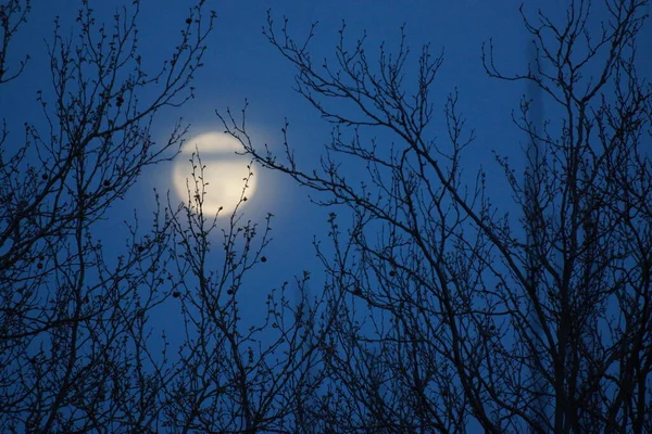 Supermoon Rosa Lua Cheia Abril 2020 France Ocorre Quando Lua — Fotografia de Stock