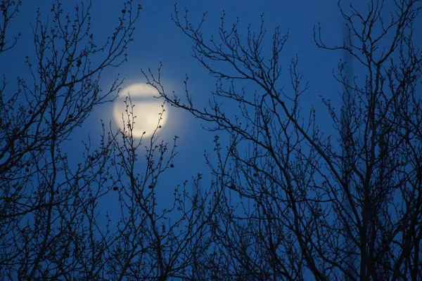 Supermaan Roze Volle Maan April 2020 Frankrijk Het Gebeurt Wanneer — Stockfoto