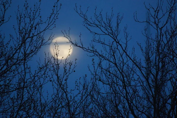 Supermåne Rosa Fullmåne April 2020 Frankrike Det Inträffar När Fullmånen — Stockfoto