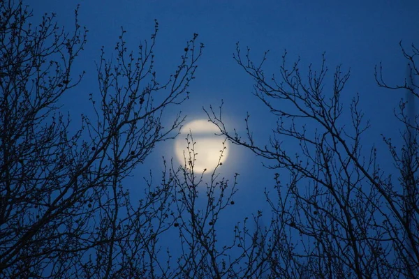 Supermåne Rosa Fullmåne April 2020 Frankrike Det Inträffar När Fullmånen — Stockfoto