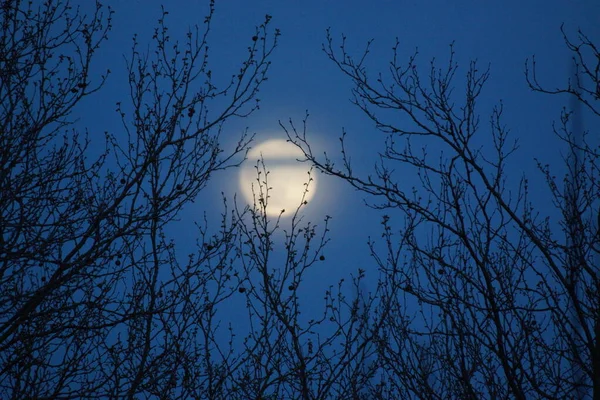 Supermåne Rosa Fullmåne April 2020 Frankrike Det Inträffar När Fullmånen — Stockfoto