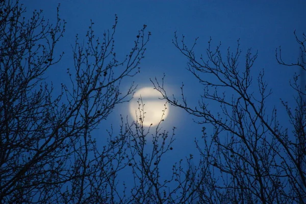 Supermåne Rosa Fullmåne April 2020 Frankrike Det Inträffar När Fullmånen — Stockfoto