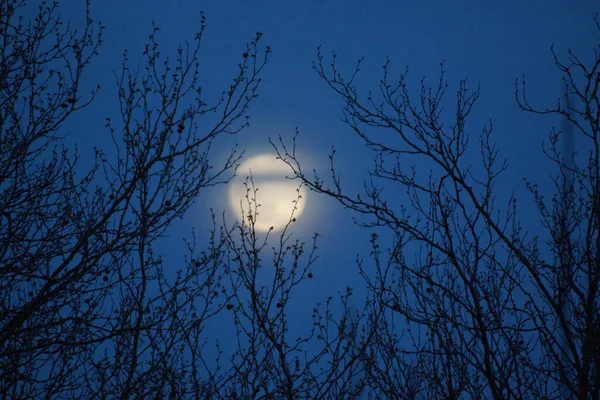 Supermåne Rosa Fullmåne April 2020 Frankrike Det Inträffar När Fullmånen — Stockfoto