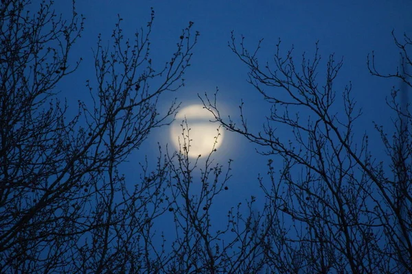 Supermaan Roze Volle Maan April 2020 Frankrijk Het Gebeurt Wanneer — Stockfoto