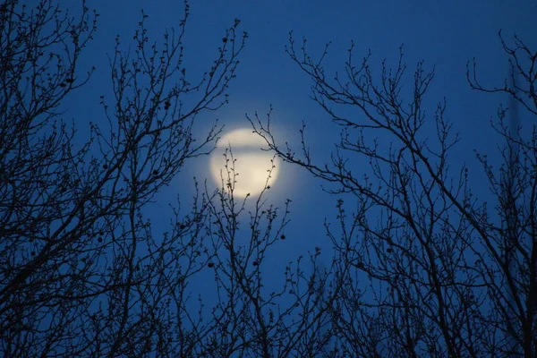 Supermoon Rosa Lua Cheia Abril 2020 France Ocorre Quando Lua — Fotografia de Stock