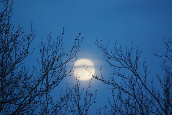 Supermaan Roze Volle Maan April 2020 Frankrijk Het Gebeurt Wanneer — Stockfoto