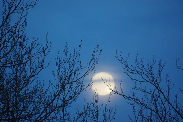 Luna Llena Rosa Supermoon Abril 2020 Francia Ocurre Cuando Luna —  Fotos de Stock