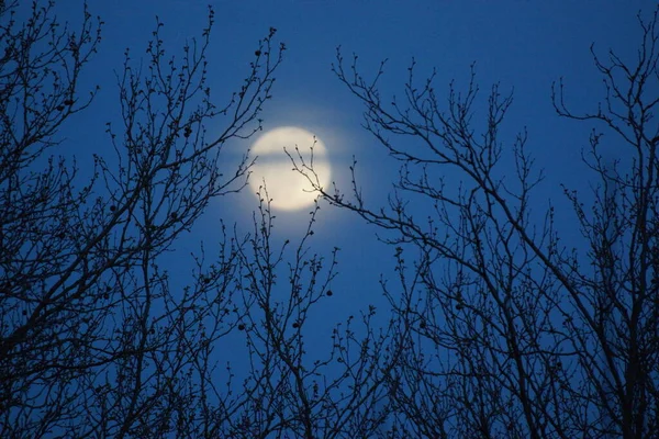 Supermåne Rosa Fullmåne April 2020 Frankrike Det Inträffar När Fullmånen — Stockfoto