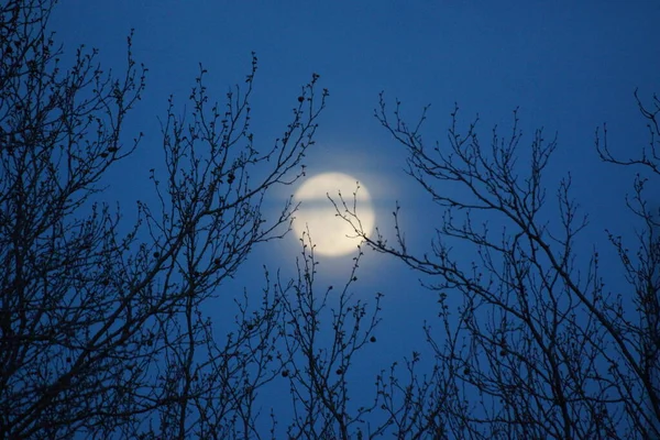 Supermond Rosa Vollmond April 2020 Frankreich Tritt Ein Wenn Der — Stockfoto