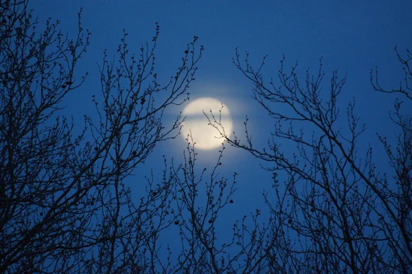 Supermaan Roze Volle Maan April 2020 Frankrijk Het Gebeurt Wanneer — Stockfoto