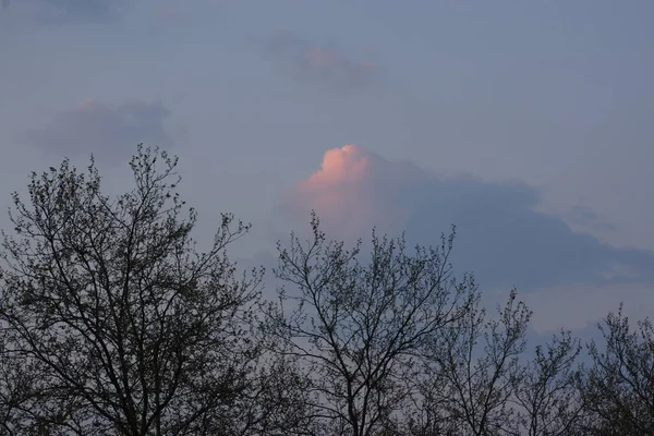 Magnifika Färgglada Moln Natthimlen Ljusa Rosa Moln Himlen Vid Solnedgången — Stockfoto