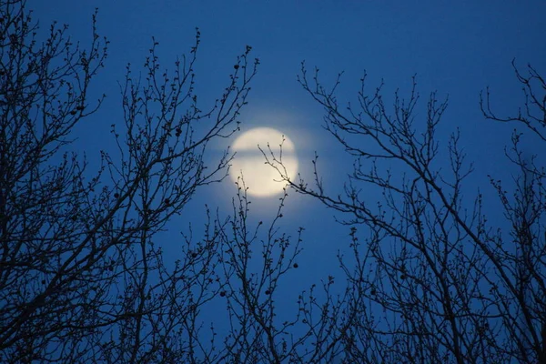 Supermoon Rosa Lua Cheia Abril 2020 France Ocorre Quando Lua — Fotografia de Stock