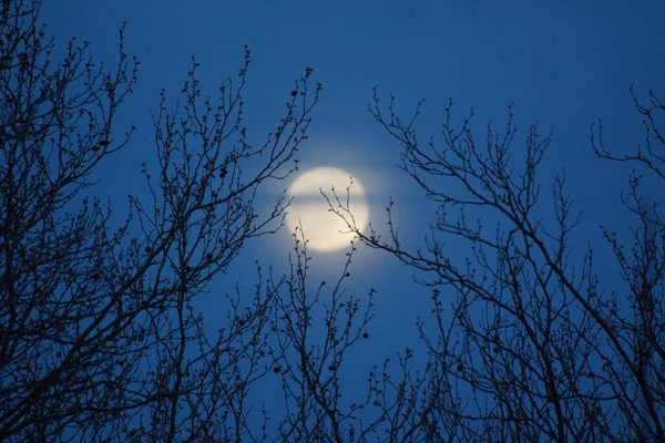 Luna Llena Rosa Supermoon Abril 2020 Francia Ocurre Cuando Luna —  Fotos de Stock