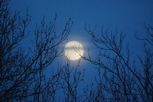 スーパームーンピンク満月8 4月2020フランスで 満月が月の軌道上で地球に最も近い位置にある時に起こる 満月だ 巨大な月 — ストック写真