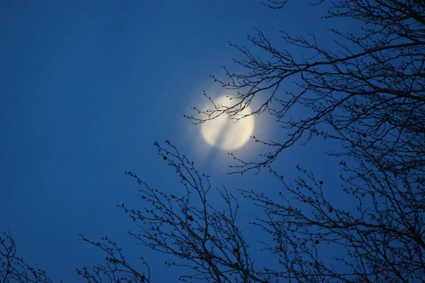 Luna Plină Roz Supermoon Aprilie 2020 Franța Apare Atunci Când — Fotografie, imagine de stoc