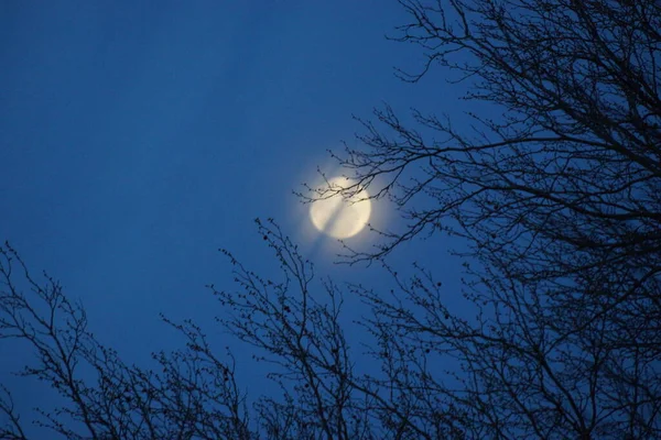 Supermoon Rosa Lua Cheia Abril 2020 France Ocorre Quando Lua — Fotografia de Stock