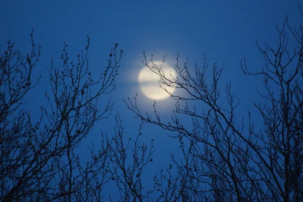 Supermoon Rózsaszín Telihold Április 2020 Franciaországban Akkor Fordul Elő Amikor — Stock Fotó