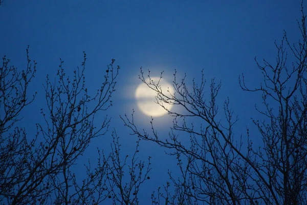 スーパームーンピンク満月8 4月2020フランスで 満月が月の軌道上で地球に最も近い位置にある時に起こる 満月だ 巨大な月 — ストック写真