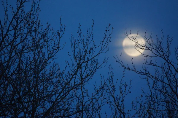 Supermaan Roze Volle Maan April 2020 Frankrijk Het Gebeurt Wanneer — Stockfoto