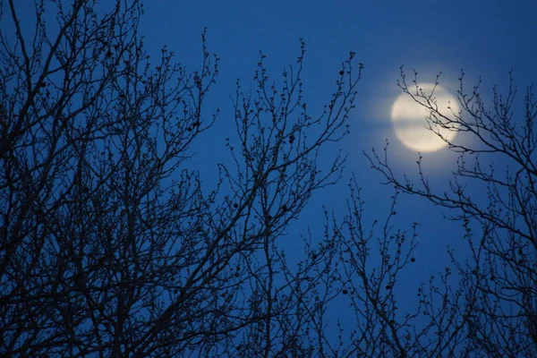 Supermaan Roze Volle Maan April 2020 Frankrijk Het Gebeurt Wanneer — Stockfoto