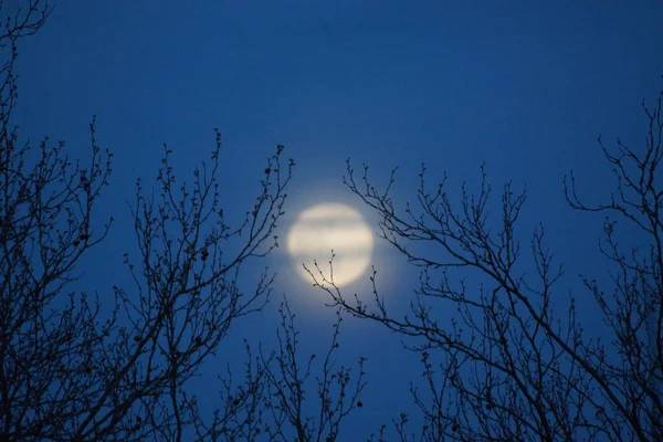 Supermåne Rosa Fullmåne April 2020 Frankrike Det Inträffar När Fullmånen — Stockfoto