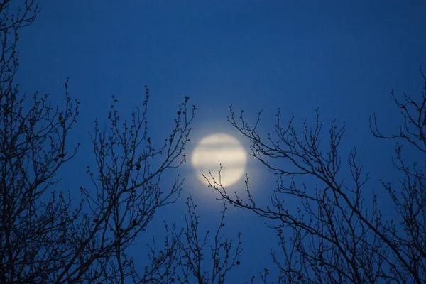 Bulan Purnama Merah Muda Supermoon April 2020 Prancis Hal Ini — Stok Foto