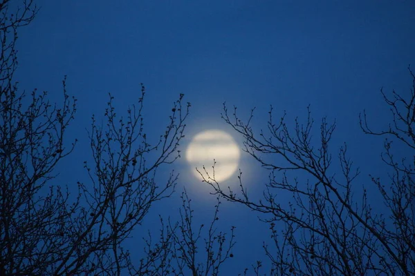 Supermaan Roze Volle Maan April 2020 Frankrijk Het Gebeurt Wanneer — Stockfoto